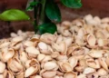 Aprovecha las cáscaras de pistacho: un recurso para el cuidado de las plantas