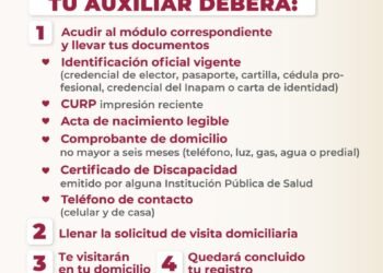 El Gobierno llevará a cabo visitas domiciliarias para verificar beneficios por discapacidad