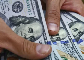 Cotización del dólar: referencias del oficial y alternativas cambiarias para este 8 de julio