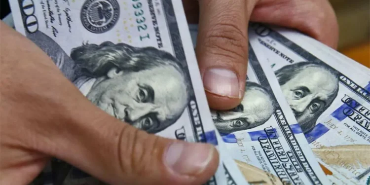 Cotización del dólar: referencias del oficial y alternativas cambiarias para este 8 de julio