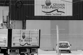 Derrumbe en Granja Tres Arroyos: El Credicoop arranca la ejecución judicial tras el fracaso del rescate