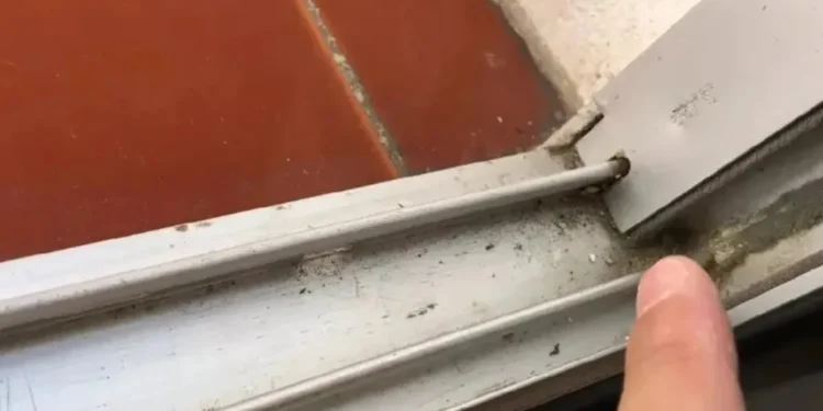 Uso de papel higiénico en los rieles de las ventanas: beneficios y recomendaciones