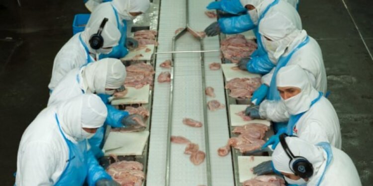 Reapertura de mercados: Argentina accede al comercio de carne aviar con Corea del Sur
