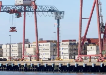 Las exportaciones argentinas hacia la Unión Europea crecieron casi un 20% gracias al nuevo acuerdo comercial