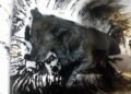 El hallazgo de Nico, un perro cubierto de petróleo, revela un grave problema ambiental en Comodoro Rivadavia