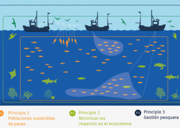 El Gobierno considera incluir la pesca en el proyecto de sanciones por Malvinas