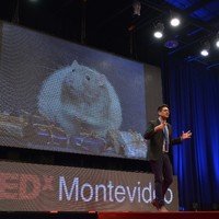 Preocupación por la salud mental: adolescentes de Buenos Aires y su relación con el uso del celular
