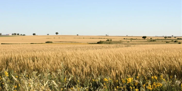 Fallo de la Corte sobre la Ley de Tierras sorprendió al Gobierno, que opta por no reaccionar