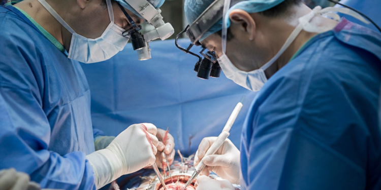 Avances en cirugías cardíacas con stents biodegradables generan interés más allá de Córdoba