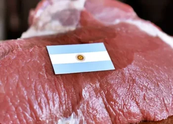Dubái, epicentro del comercio global: el funcionamiento de la principal zona franca del mundo que busca atraer la carne argentina