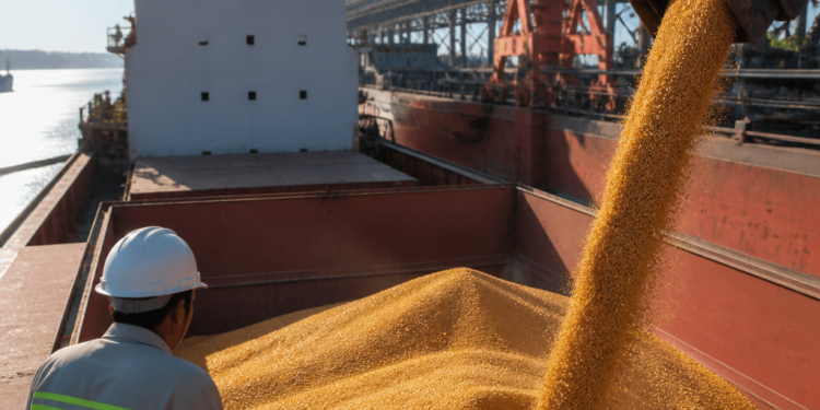 Expectativas para la exportación de sorgo argentino a China