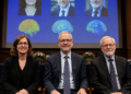El Nobel de Medicina reconoce a tres investigadores por su labor en la actividad cerebral