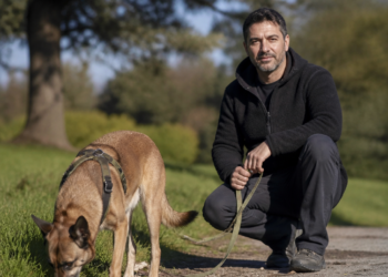 La importancia de los paseos para el bienestar canino según Juan Manuel Liquindoli