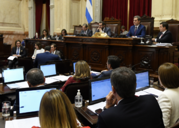 El Senado debate la ley de salud mental y busca aprobar beneficios fiscales para inversiones